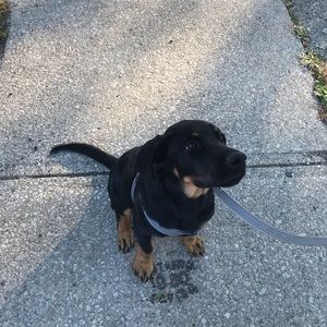 Meet your Posher, Marcus